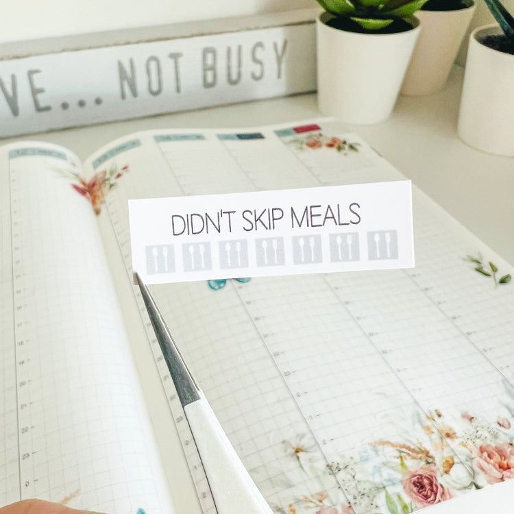 Didn't Skip Meals | D222 | Meal + Habit Tracker