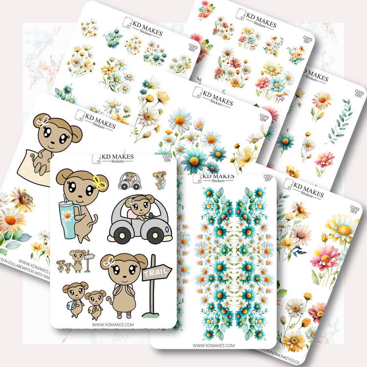 C073 | COLOURFUL DAISIES | A PMC COLLAB | Deco Bundle