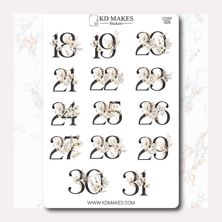 C097 | Decorative Numbers
