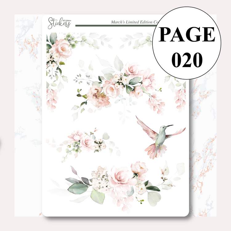 C036 | HUMMING BIRD & WATERCOLOUR FLOWERS | Deco Bundle