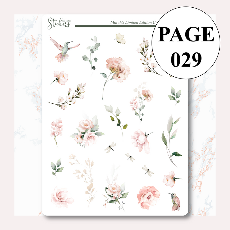 C036 | HUMMING BIRD & WATERCOLOUR FLOWERS | Deco Bundle