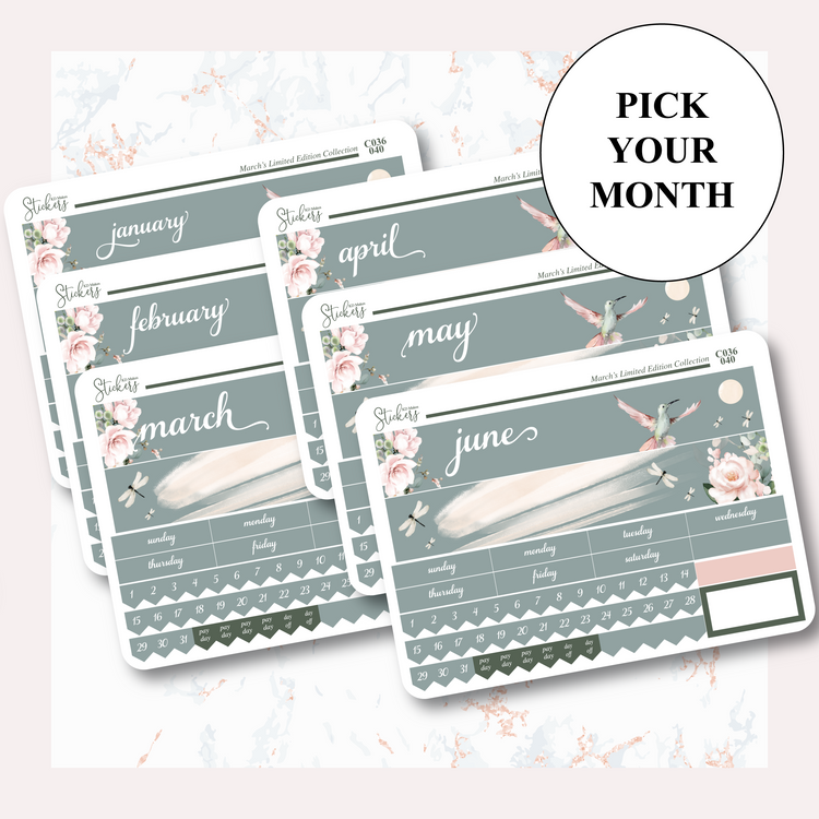 C036 | HUMMING BIRD & WATERCOLOUR FLOWERS | MONTHLY KIT - A5W & STANDARD VERTICAL