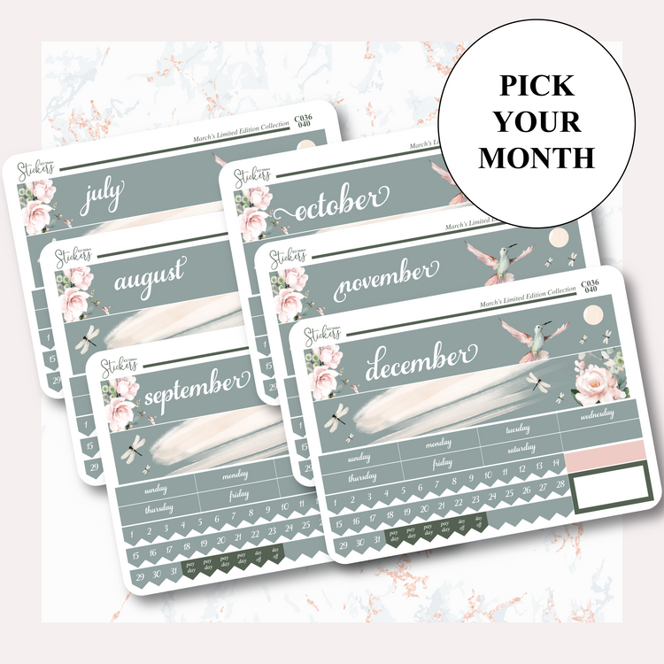 C036 | HUMMING BIRD & WATERCOLOUR FLOWERS | MONTHLY KIT - A5W & STANDARD VERTICAL