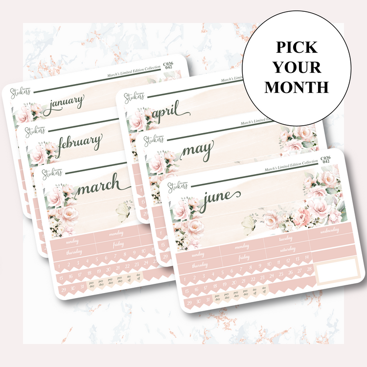 C036 | HUMMING BIRD & WATERCOLOUR FLOWERS | MONTHLY KIT - A5W & STANDARD VERTICAL
