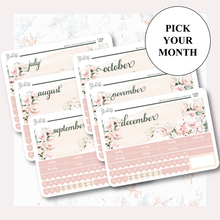 C036 | HUMMING BIRD & WATERCOLOUR FLOWERS | MONTHLY KIT - A5W & STANDARD VERTICAL
