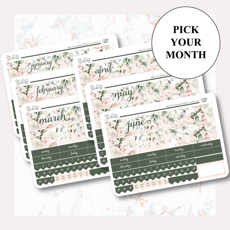 C036 | HUMMING BIRD & WATERCOLOUR FLOWERS | MONTHLY KIT - A5W & STANDARD VERTICAL