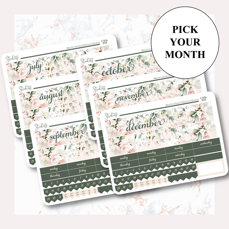 C036 | HUMMING BIRD & WATERCOLOUR FLOWERS | MONTHLY KIT - A5W & STANDARD VERTICAL
